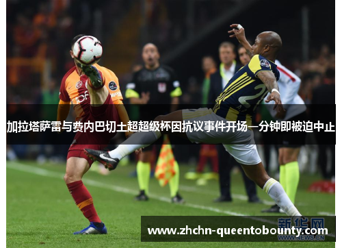 加拉塔萨雷与费内巴切土超超级杯因抗议事件开场一分钟即被迫中止 加拉塔萨雷与费内巴切土超超级杯因抗议事件开场一分钟即被迫中止
